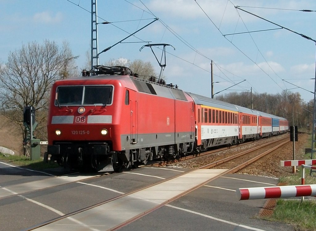 120 125 und der EC 379 Binz-Brno unterwegs bei Bergen/Rgen am 24.April 2010.