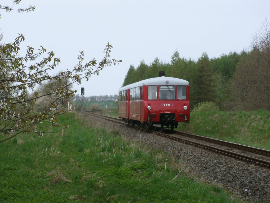Ferkeltaxe unterwegs auf freier Strecke zwischen Bergen und Putbus am 28.April 2011.