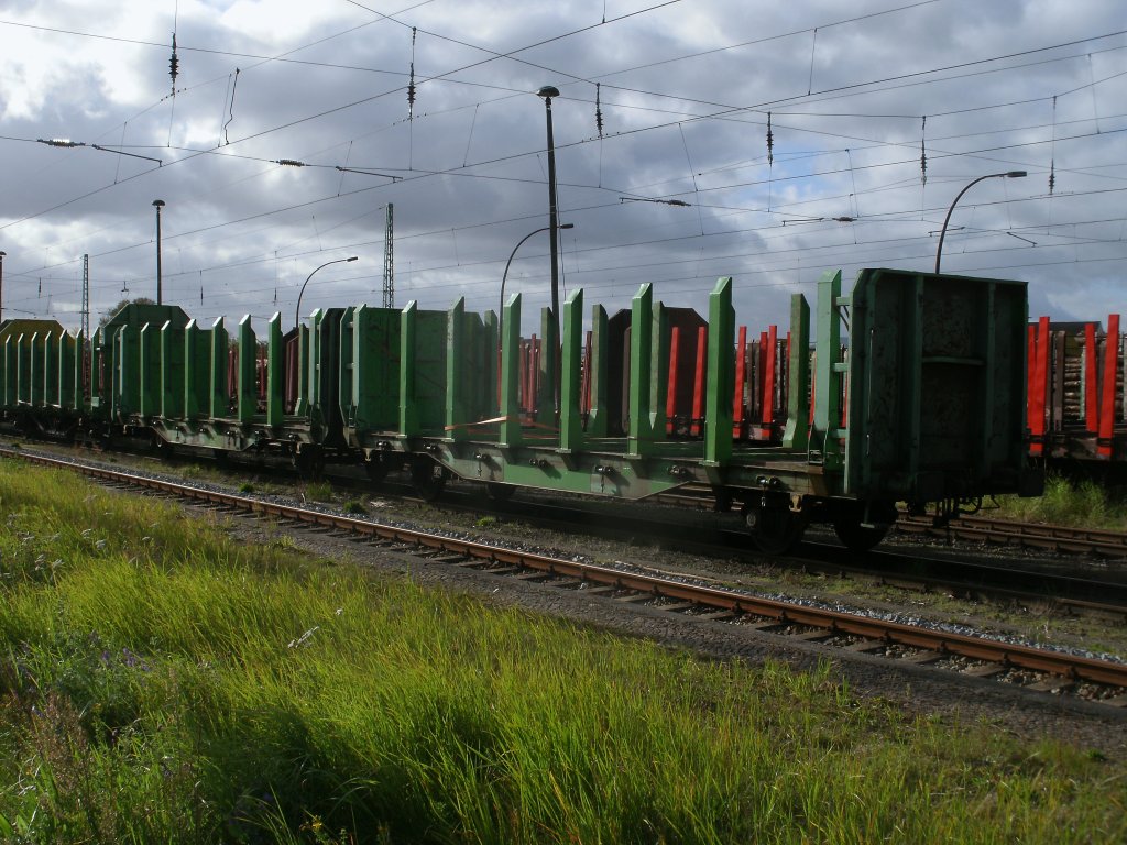 Mehrere Laars-Wagen wurden,am 12.Oktober 2011,auf der Ladestrae von Bergen/Rgen mit Holz beladen.