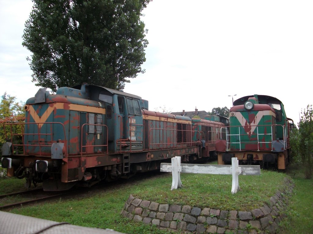 Nicht mehr gebrauchte Dieselloks der Baureihe SP42 stehen am 04.September 2010 im Depot Szczecin Port Centralny.