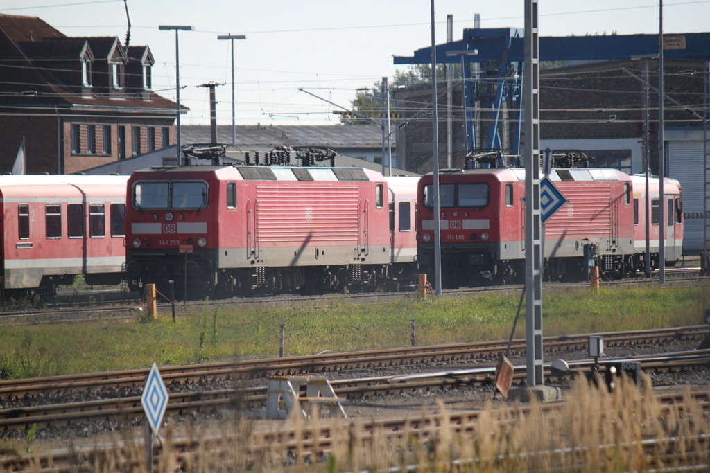 143 250+114 005 abgestellt im BW Rostock Hbf.10.10.2015