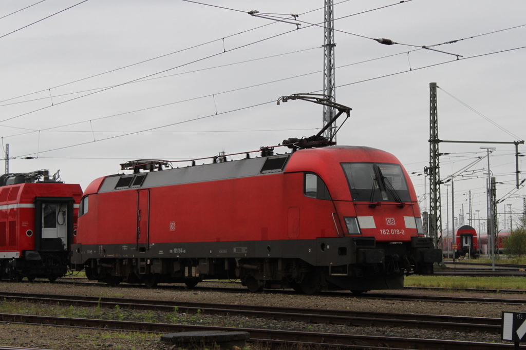 182 019 stand am 09.09.2017 aufgerüstet im Bw Rostock Hbf.