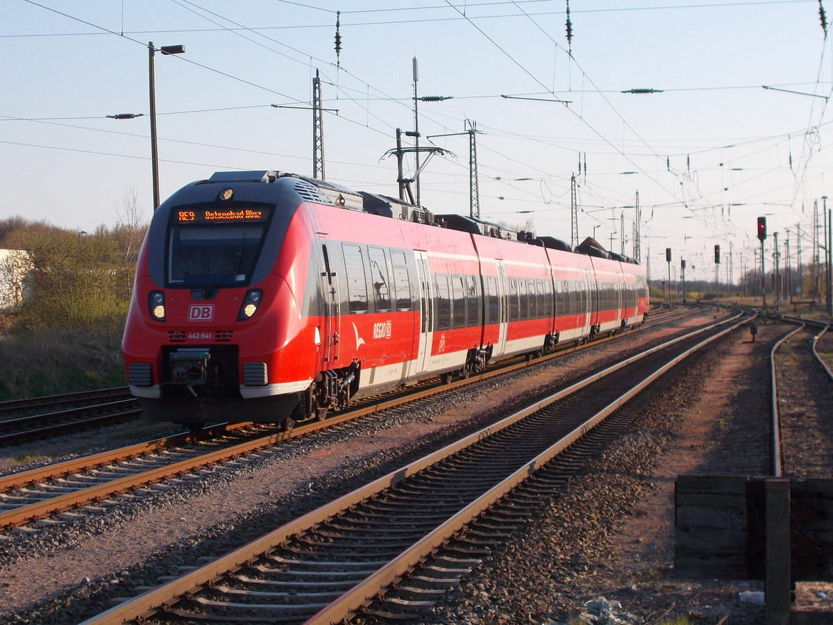 442 841 als RE Stralsund-Binz,am 02.Mai 2016,bei der Einfahrt in Bergen/Rügen.