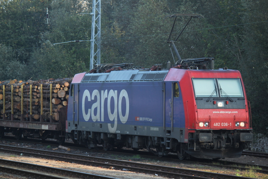 482 036-1 bepannte am 05.10.2014 den Holzzug von Rostock-Bramow nach Stendal-Niedergrne im Bahnhof Rostock-Bramow.