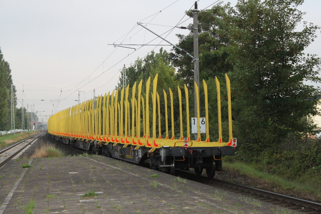 Leer-Holzzug von Stendal-Niedergröne nach Rostock-Bramow bei der Durchfahrt um 07:12 Uhr im Haltepunkt Rostock-Holbeinplatz