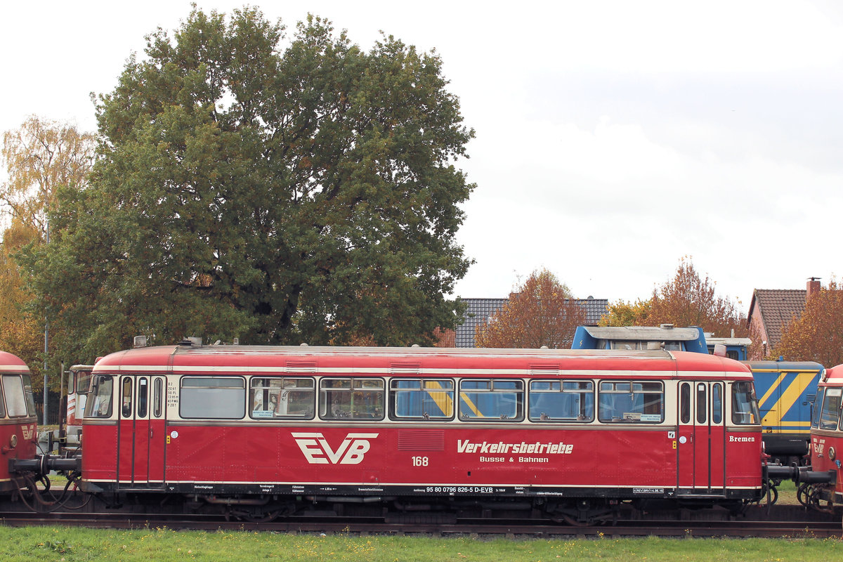 Moorexpress EVB 168  Bremen  am 30.10.2016 in Bremervörde / EVB Betriebshof.