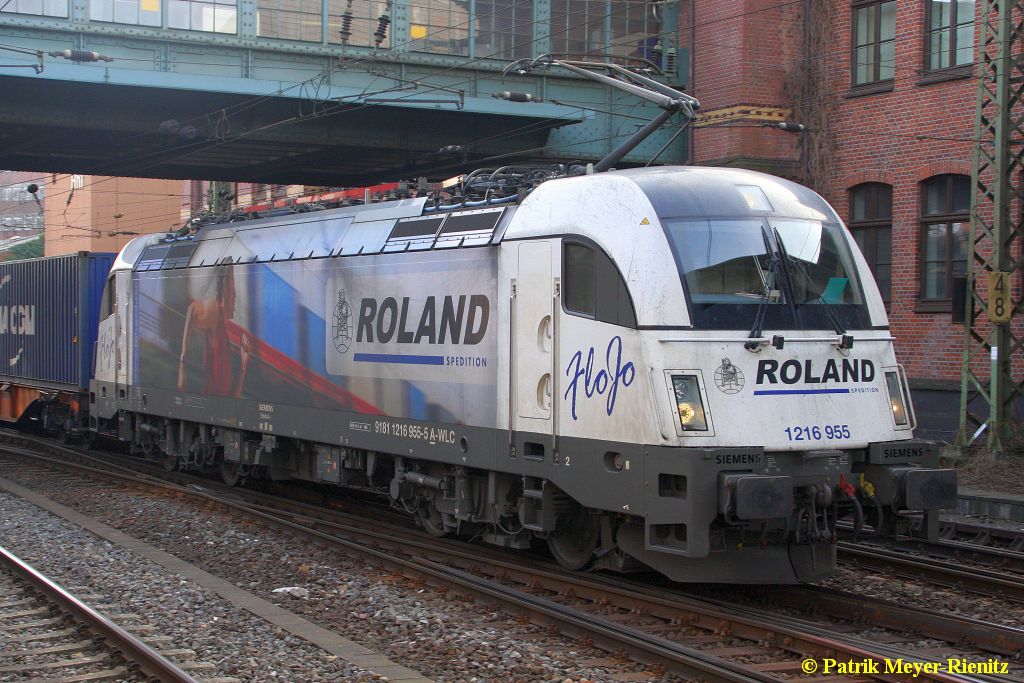 WLC 1216 955  Roland  Portrait am 17.03.2015 in Hamburg-Harburg