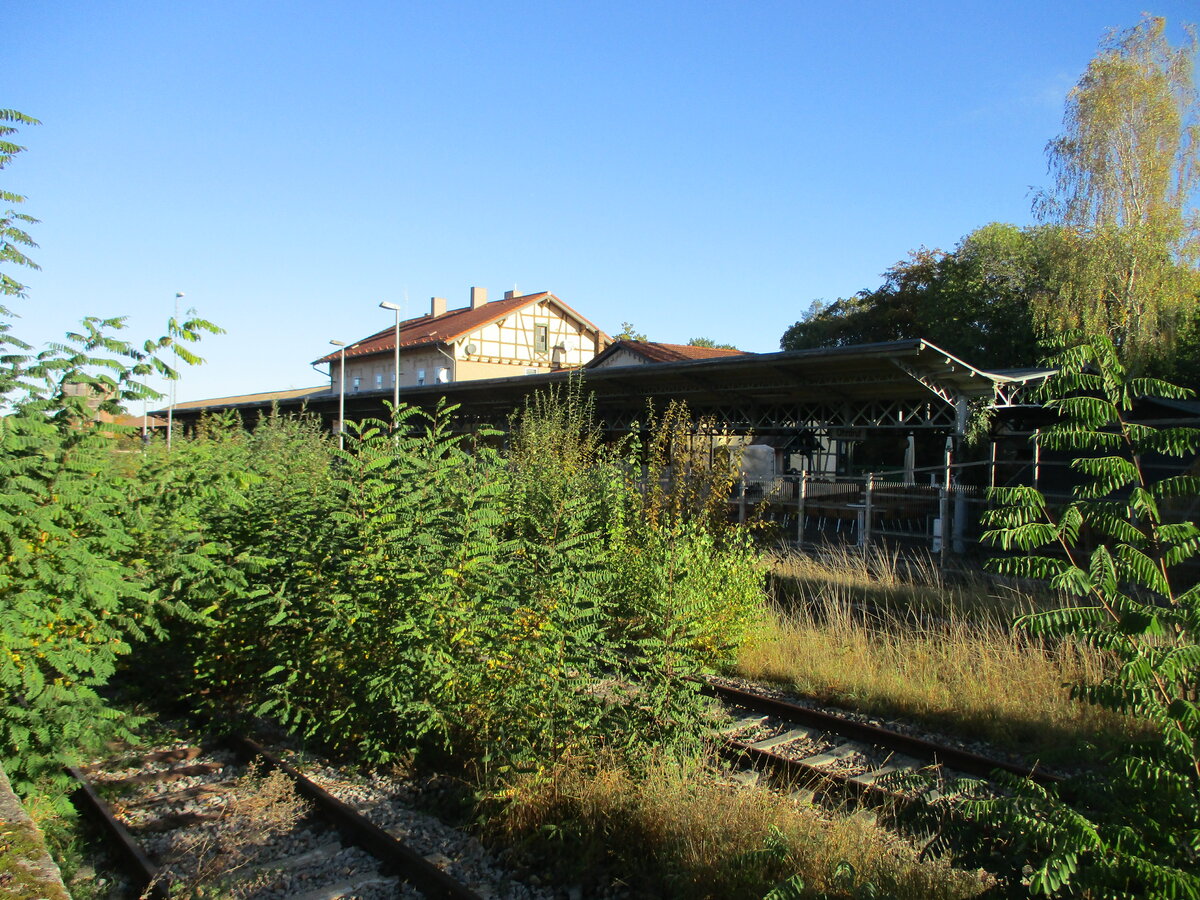 Zugewachsen der Bahnhof Ohrdruf,am 23.Oktober 2023.
