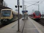 BR 429 PRESS VT 650 032 wartete am 20.M�rz 2010 auf Anschlu�reisende die 429 029 aus Stralsund nach Bergen/R�gen brachte.W�hrend 429 029 nach Binz weiter fuhr ging es f�r den PRESS VT 650 032 nach Lauterbach Mole.