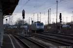 185 531-1 ...  Stephan Kemnitz 15.01.2011