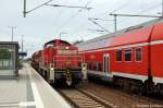 BR 294 (3 Fotos)