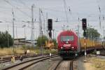 BR253 (2 Fotos)