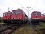 155 133-2 links,155 141-5 mitte und MEG-701 rechts am 16.Oktober 2010 in der Est Berlin Lichtenberg.