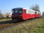 Ferkeltaxe/840812/press-172-140-und-172-141am PRESS 172 140 und 172 141,am 08.März 2024,zwischen Lauterbach Mole und Lauterbach.