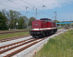 v100-ost-west/497041/auf-saegefahrt-war-die-112-703-4 Auf Sägefahrt war die 112 703-4 in Bergen/Rügen,am 19.Mai 2016,um auf das Ausfahrgleis nach Putbus zukommen.