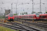 BR 429/702838/442-847-und-2x-weitere-429er 442 847 und 2x weitere 429er von DB-Regio Nordost waren bei bestem Fotowetter im Rostocker Hbf abgestellt.19.06.2020