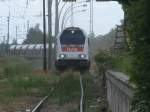 havellandische-eisenbahn-ag-hvle/276692/da-kriegt-man-noch-mehr-graue Da kriegt man noch mehr graue Haare wenn man den Zustand vom Ladegleis in Bergen/Rgen sieht,auch wenn das Gleis erschreckend aussieht ist die hvle Maxima V490.3,am 27.Juni 2013,mehrmals ber das Gleis gefahren.