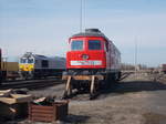 MEG/543634/die-beiden-meg-318-und-die Die beiden MEG 318 und die 077 018-2,am 04.Mrz 2017,im Werkbahnhof Rdersdorf.