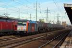 BR246 (12 Fotos)