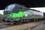 ELL/SBB Cargo International 193 209 abgestellt in Hamburg-Waltershof am 25.12.2014