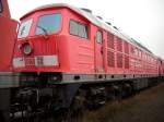 Mukran 232 496-0 ex.Bh Rostock Seehafen am 24.Januar 2009 in Mukran West.Zur Verschrottung am 23.M�rz abgefahren.