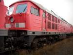Mukran 232 577-7 ex.Bh N�rnberg am 24.Januar 2009 in Mukran West.Zur Verschrottung am 23.M�rz 2010 abgefahren.