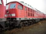 Mukran 232 604-9 ex.Bh Halle G. am 24.Januar 2010 in Mukran West.Zur Verschrottung am 23.M�rz 2010 abgefahren.