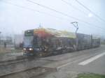 rostock NGT6 mit neue Werbung fuhr am 13.04.10 als Linie 5 von 
Mecklenburger Allee, Rostock Richtung S�dblick, Rostock 