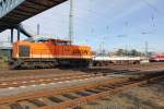 V100 Die V100 215 von Locon (203 141-7) Kam mit einer �bf�hrungsfahrt mit ein Containerwagen Durch den Bahnhof Buchholz(Nordheide)am 14.10.2011 Gefahren.