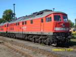 V300 232 800 Bh Halle G. am 31.August 2008 in Berlin Lichtenberg.