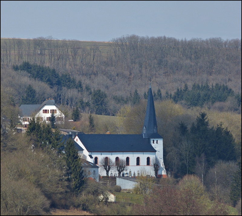 . Blick vom Aussichtspunkt  Geeselee  in Lellingen nach Pintsch. Die Kirche von Pintsch war im Mittelalter eine der wichtigsten Kirchen des slings, eine der sogenannten Mutterkirchen. Der mchtige Glockenturm stammt aus dem 11. Jahrhundert und ist neben der Sakristei, der lteste Teil des Gebudes. Whrend der Ardennenoffensive 1944/45 wurde das Gotteshaus stark beschdigt, doch schon 1949 war es wieder aufgebaut. 07.04.2013 (Jeanny)