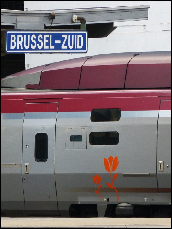 . Orangefarbene Tulpen für den Thalys - Zum Glück kein Graffito, sondern das nationale niederländische Symbol ziert den Thalys 4345 zum Thronwechsel in den Niederlanden. 10.05.2013 (Jeanny)