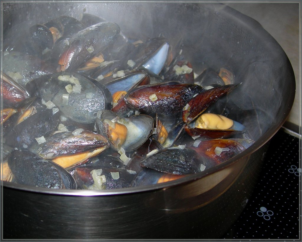 ... und schon dampfen die Muscheln.
6. II. 13