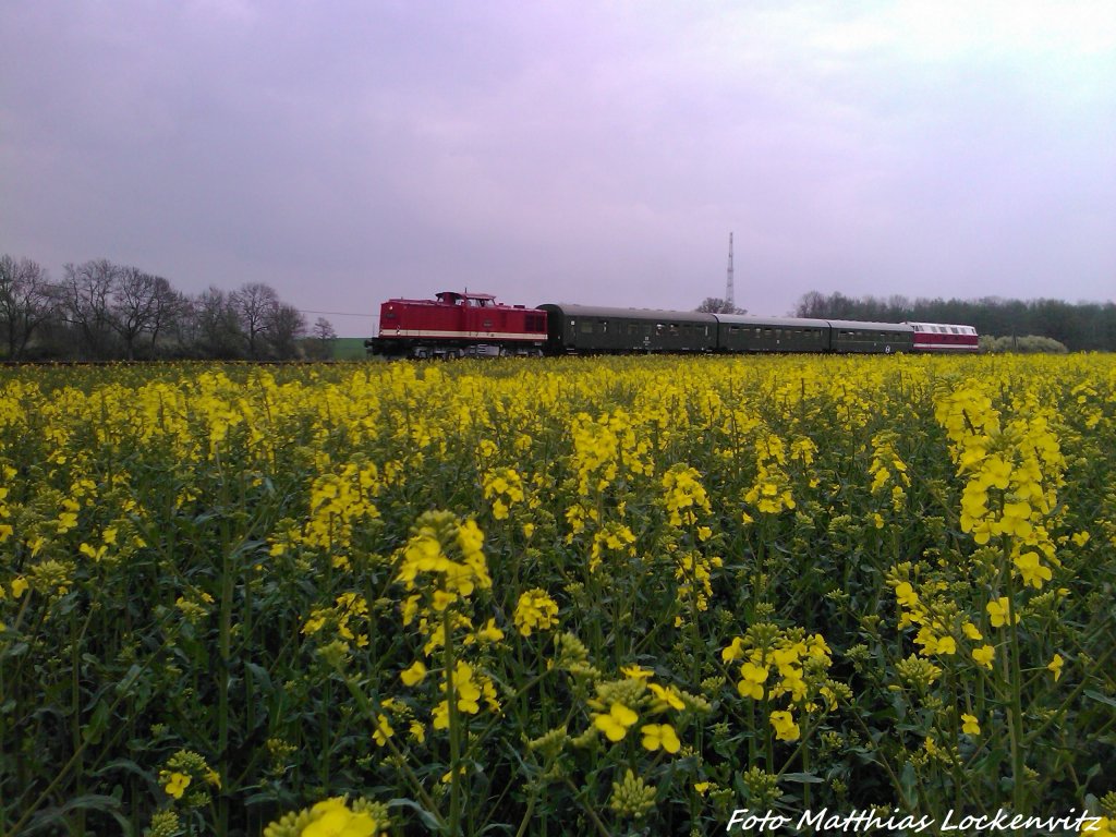 112 565-7 (DB 202 565-8) mit der MTEG 118 770-7 unterwegs nahc Bergen auf R�gen / Hier zwischen Putbus & Pastitz am 11.5.13