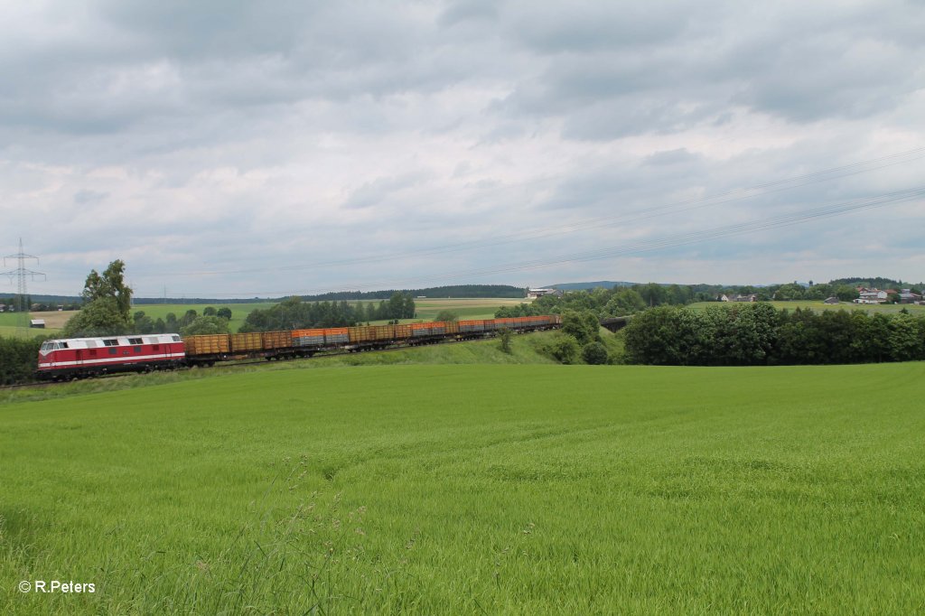 118 770 mit einem Kokszug aus CZ bei Seuen. 15.06.13