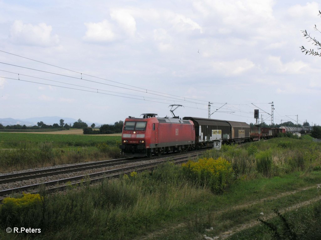 185 046-0 zieht bei Stephansposching ein gemischten Gterzug in Richtung Regensburg. 08.08.09
