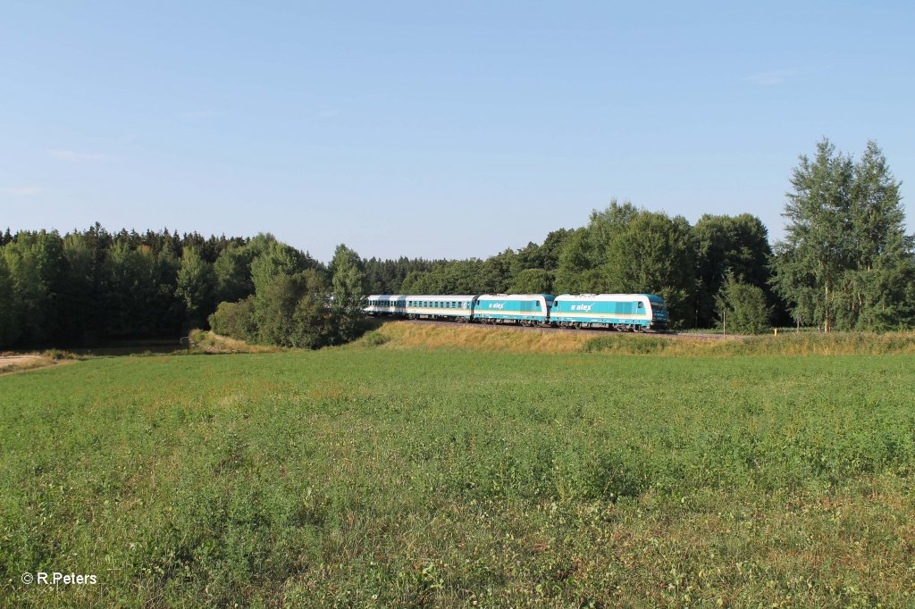 223 062 und 067 mit dem ALX84121 Hof - Mnchen bei oberteich. 28.07.13