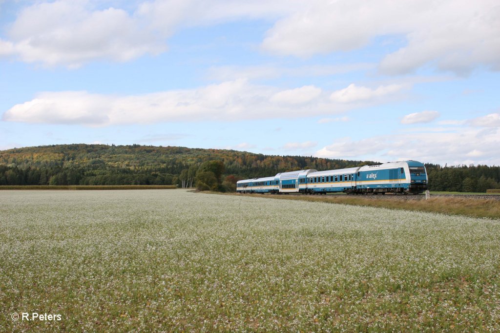 223 062 mit dem ALX84115 Hof - Mnchen bei Oberteich. 03.10.12