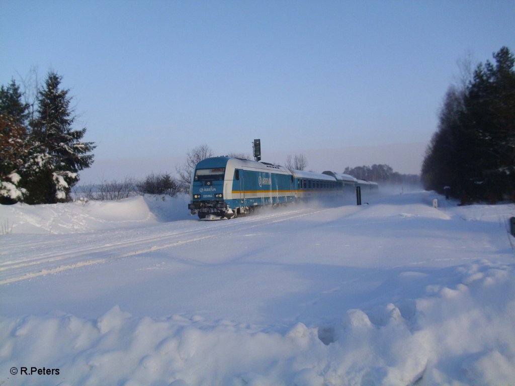 223 064 mit ALX84109 nach Mnschen bei Schnfeld. 28.12.10