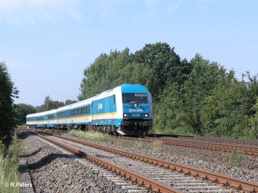 223 065 zieht bei Schnfeld den ALX37972 nach Hof. 07.08.09
