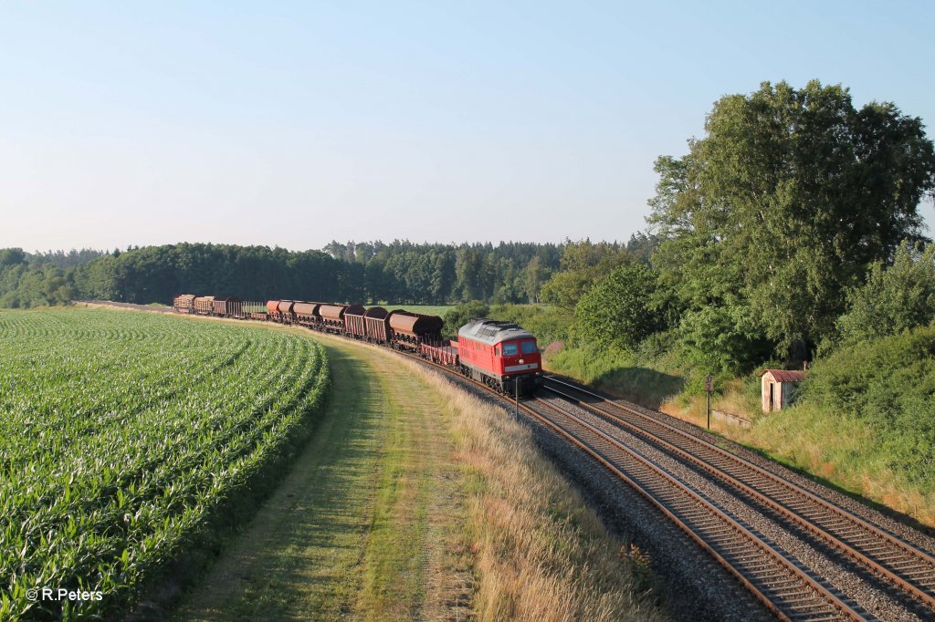 232 359-0 mit dem umgeleiteten 45367 Nrnberg - Cheb in der Kurve bei Oberteich. 19.07.13