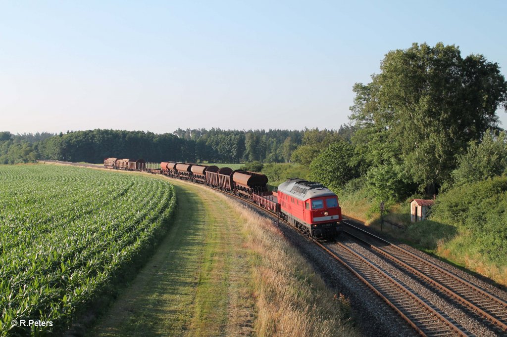 232 359-0 mit dem umgeleiteten 45367 Nrnberg - Cheb in der Kurve bei Oberteich. 19.07.13