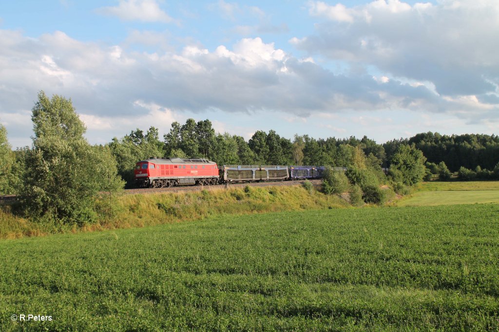 232 527-2 mit einem leer Autozug aus Nrnberg nach Cheb sdlich von Wiesau.30.07.13