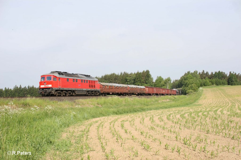 233 176-7 mit dem 51683 Zwickau - Nrnberg bei Unterthlau. 31.05.12