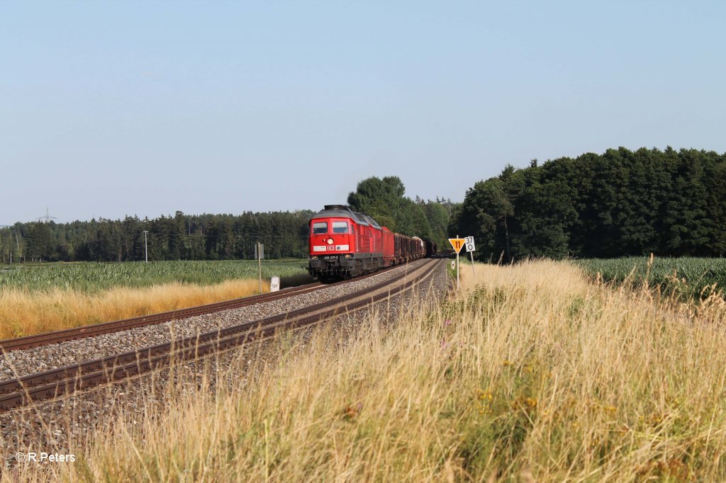 233 217-9 + 232 359-0 mit dem 56743 NN-NMR bei Obertich. 28.07.13