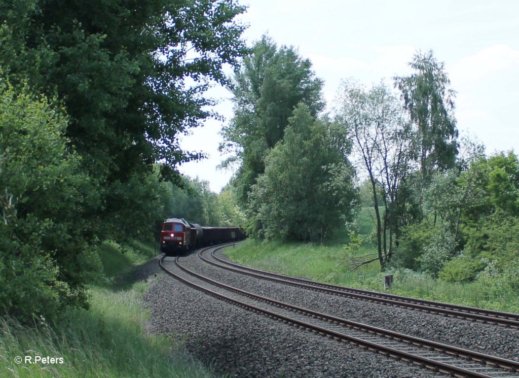 233 217-9 mit dem langen 45365 Nrnberg - Cheb bei Schnfeld. 13.06.13