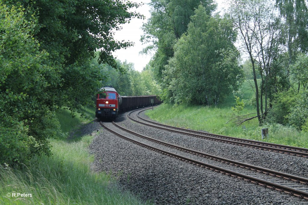 233 217-9 mit dem langen 45365 Nrnberg - Cheb bei Schnfeld. 13.06.13