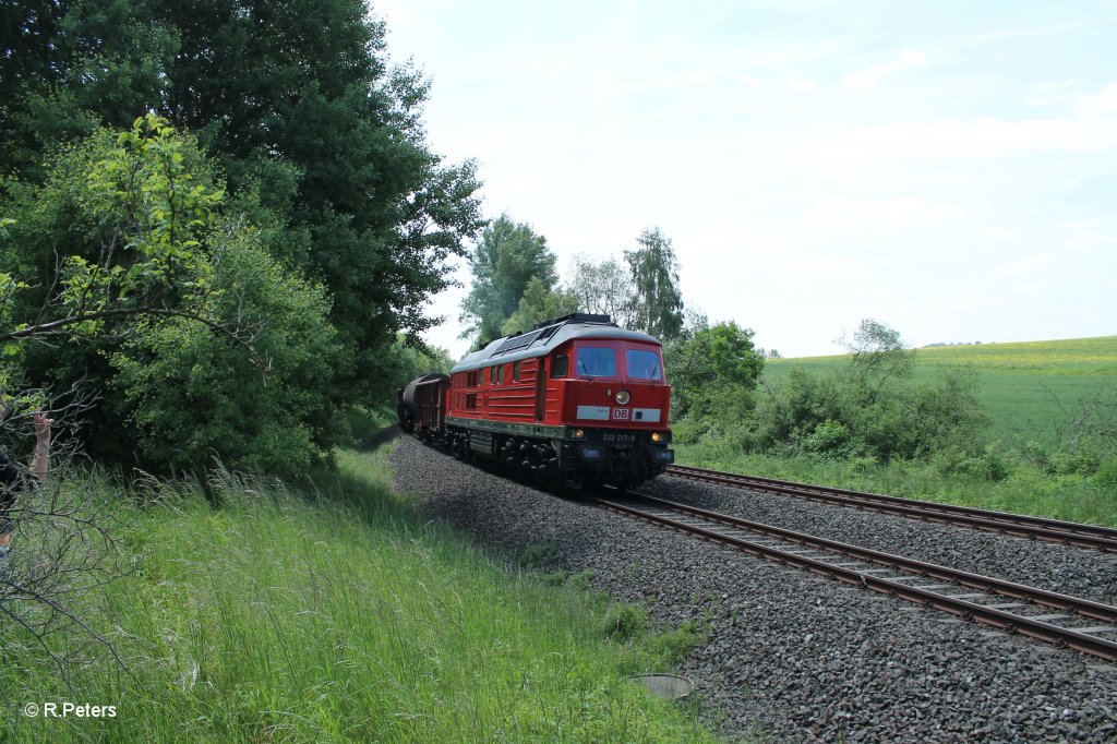 233 217-9 mit dem langen 45365 Nrnberg - Cheb bei Schnfeld. 13.06.13