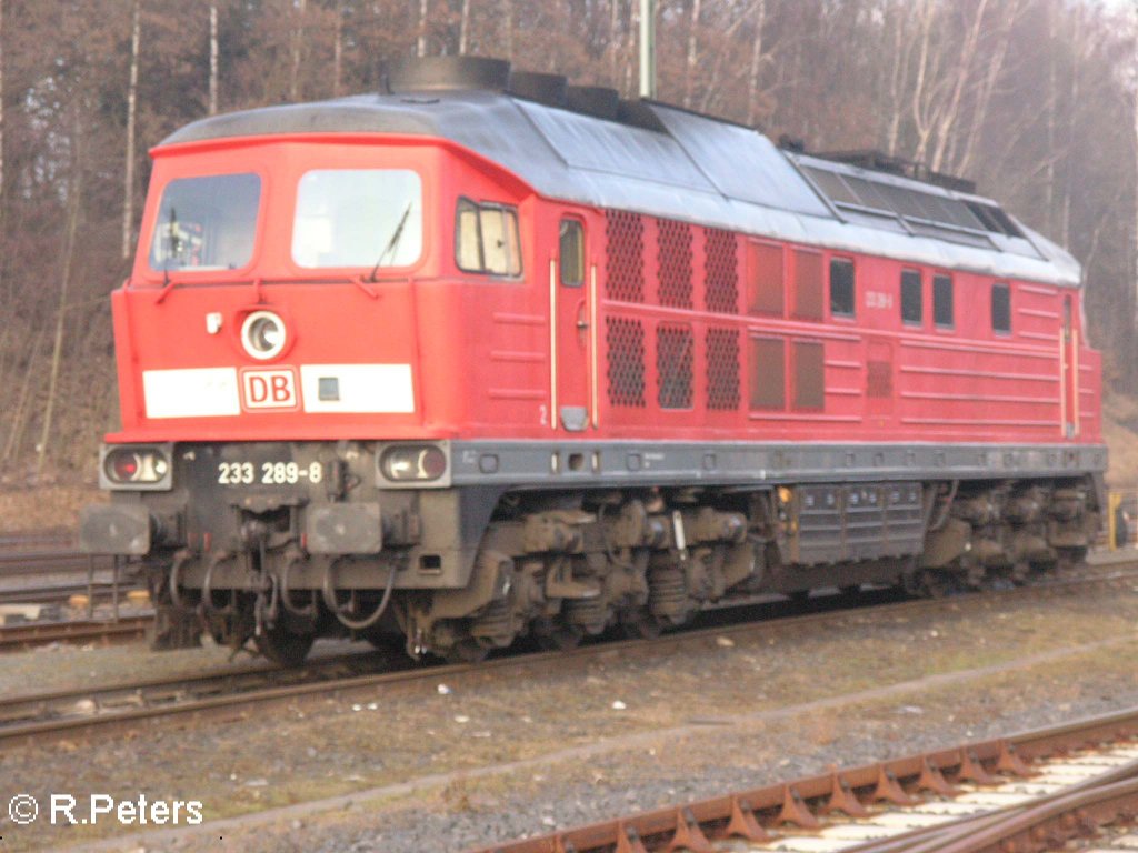 233 289-8 in Marktredwitz. 13.01.08