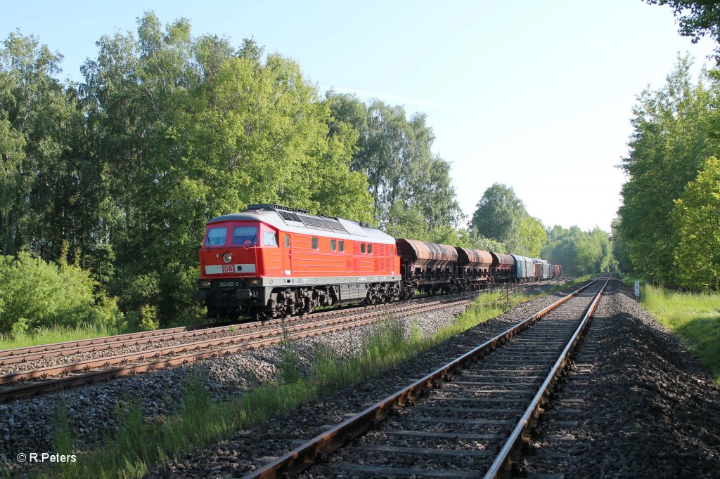 233 452-2 mit dem umgeleiteten 51683 Zwickau - Nrnberg bei Schnfeld. 05.06.13